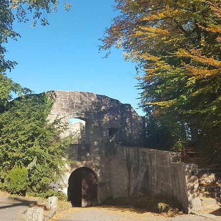Ferienwohnung "Tecklenburger Augenblicke" Εξωτερικό φωτογραφία