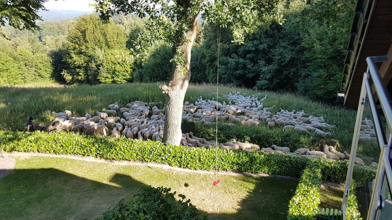 Ferienwohnung "Tecklenburger Augenblicke" Εξωτερικό φωτογραφία